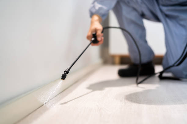Licensed Fumigation Services service in Prospect Heights, IL - Nex Pest Control