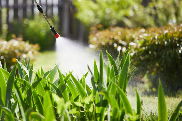 24/7 Emergency Fumigation Services experts in Prospect Heights, IL
