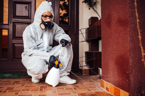 Reliable Fumigation Services contractor in Prospect Heights, IL by Nex Pest Control
