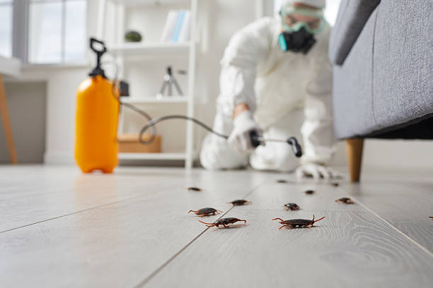 Trusted Mosquito Control service in Prospect Heights, IL - Nex Pest Control