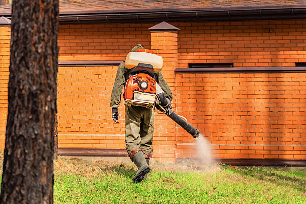 Trusted Fumigation Services service in Prospect Heights, IL - Nex Pest Control